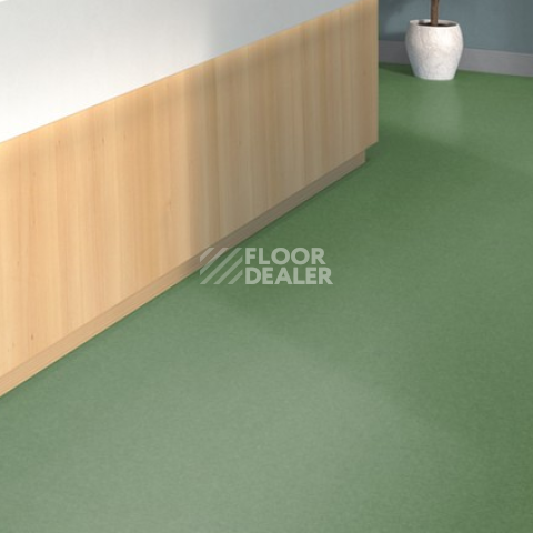 Tarkett iq Melodia 2639 фото 2 | FLOORDEALER